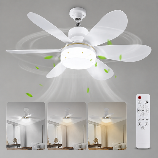 2u1 Plafonski ventilator sa LED rasvjetom
